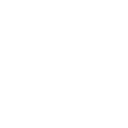 Paint roller icon